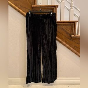 Wide Leg Velvet Pants - NWT